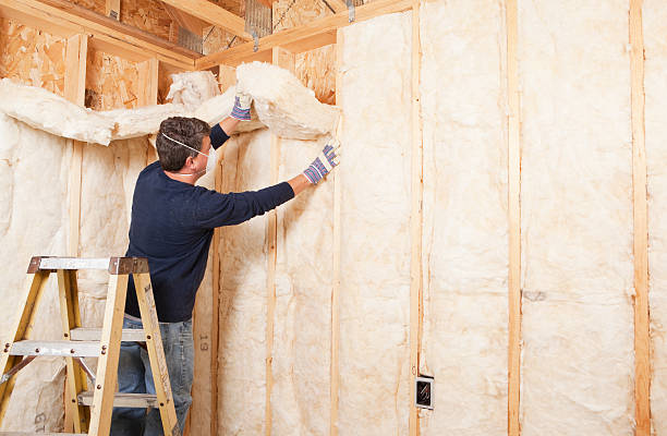 Eco-Friendly or Green Insulation Solutions in Bellaire, OH